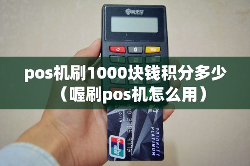 pos机刷1000块钱积分多少（喔刷pos机怎么用）
