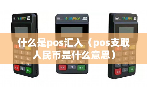 什么是pos汇入（pos支取人民币是什么意思）