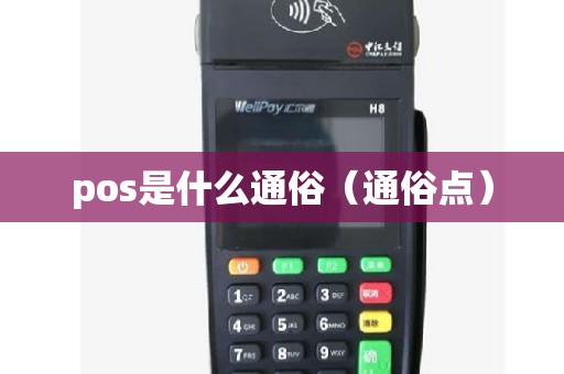 pos是什么通俗（通俗点）