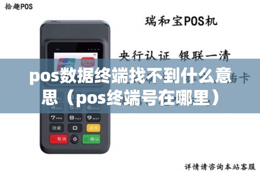pos数据终端找不到什么意思（pos终端号在哪里）