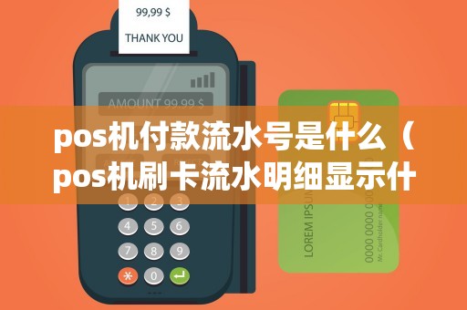 pos机付款流水号是什么（pos机刷卡流水明细显示什么）