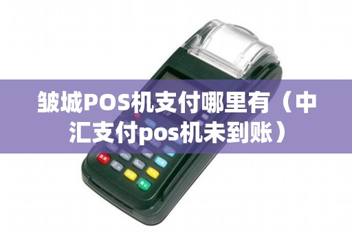 皱城POS机支付哪里有（中汇支付pos机未到账）