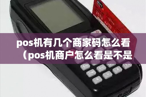 pos机有几个商家码怎么看（pos机商户怎么看是不是真实商户）