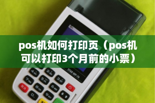 pos机如何打印页(pos机可以打印3个月前的小票) pos机如何打印页(pos机可以打印3个月前的小票)