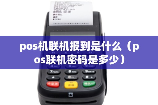 pos机联机报到是什么（pos联机密码是多少）