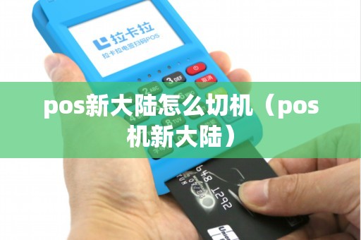 pos新大陆怎么切机（pos机新大陆）