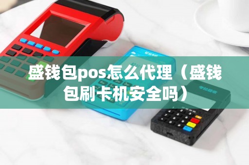盛钱包pos怎么代理（盛钱包刷卡机安全吗）