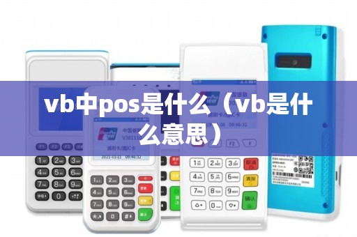 vb中pos是什么（vb是什么意思）