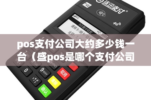 pos支付公司大约多少钱一台（盛pos是哪个支付公司的）