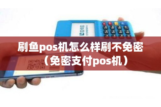 刷鱼pos机怎么样刷不免密（免密支付pos机）