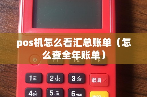 pos机怎么看汇总账单（怎么查全年账单）