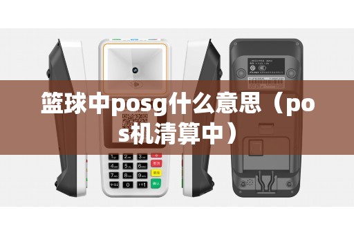 篮球中posg什么意思（pos机清算中）