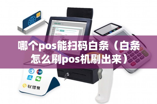 哪个pos能扫码白条（白条怎么刷pos机刷出来）