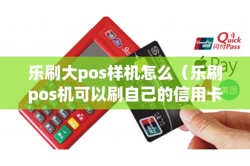 乐刷大pos样机怎么（乐刷pos机可以刷自己的信用卡吗）