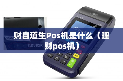 财自道生Pos机是什么（理财pos机）
