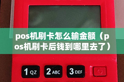 pos机刷卡怎么输金额（pos机刷卡后钱到哪里去了）