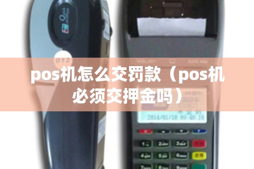 pos机怎么交罚款（pos机必须交押金吗）