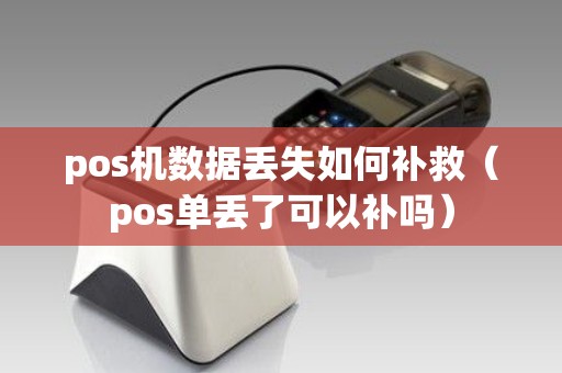 pos机数据丢失如何补救（pos单丢了可以补吗）