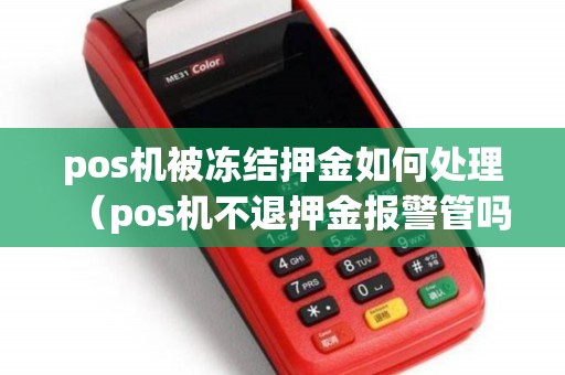 pos机被冻结押金如何处理（pos机不退押金报警管吗）