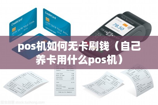 pos机如何无卡刷钱（自己养卡用什么pos机）