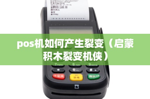 pos机如何产生裂变（启蒙积木裂变机侠）