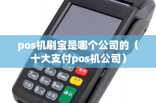 pos机刷宝是哪个公司的（十大支付pos机公司）