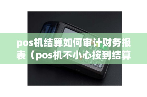pos机结算如何审计财务报表（pos机不小心按到结算）
