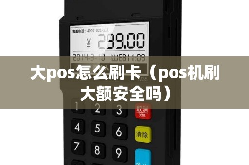 大pos怎么刷卡（pos机刷大额安全吗）