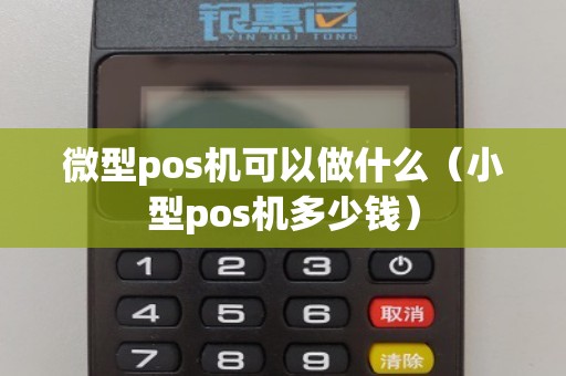 微型pos机可以做什么（小型pos机多少钱）