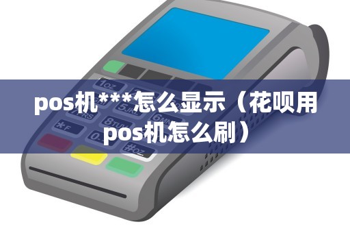 pos机***怎么显示（花呗用pos机怎么刷）