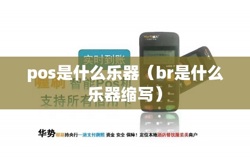 pos是什么乐器（br是什么乐器缩写）