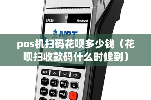 pos机扫码花呗多少钱（花呗扫收款码什么时候到）