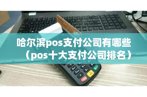 哈尔滨pos支付公司有哪些（pos十大支付公司排名）