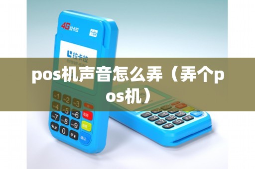 pos机声音怎么弄（弄个pos机）