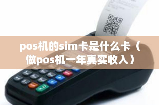 pos机的sim卡是什么卡（做pos机一年真实收入）
