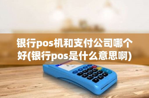 银行pos机和支付公司哪个好(银行pos是什么意思啊)