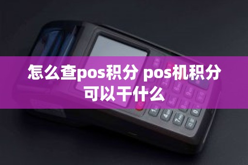 怎么查pos积分 pos机积分可以干什么