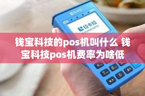 钱宝科技的pos机叫什么 钱宝科技pos机费率为啥低