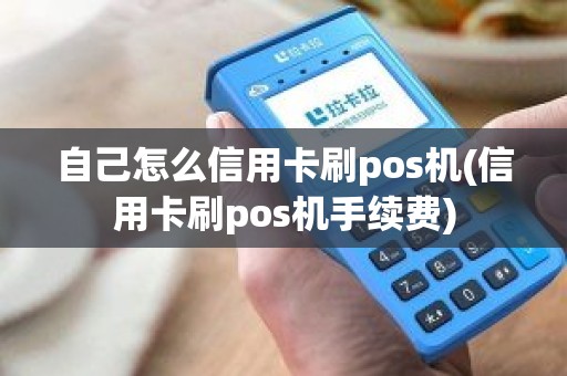 自己怎么信用卡刷pos机(信用卡刷pos机手续费)