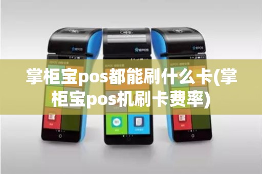 掌柜宝pos都能刷什么卡(掌柜宝pos机刷卡费率)