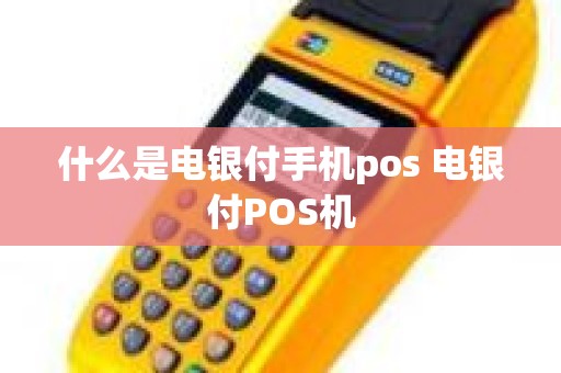 什么是电银付手机pos 电银付POS机