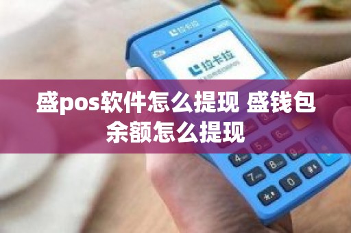 盛pos软件怎么提现 盛钱包余额怎么提现
