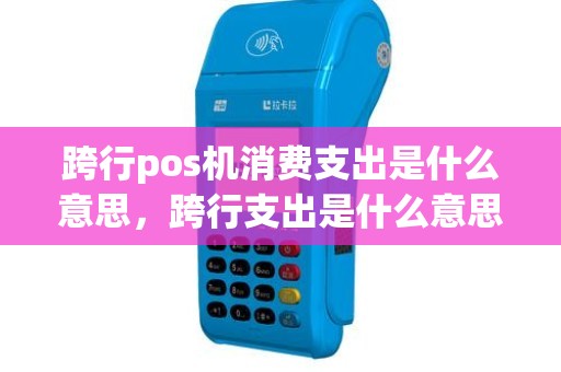 跨行pos机消费支出是什么意思，跨行支出是什么意思