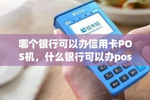 哪个银行可以办信用卡POS机，什么银行可以办pos 机