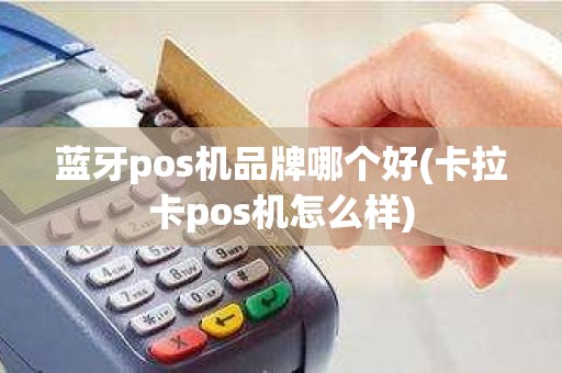 蓝牙pos机品牌哪个好(卡拉卡pos机怎么样)