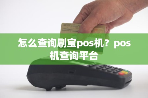 怎么查询刷宝pos机？pos机查询平台