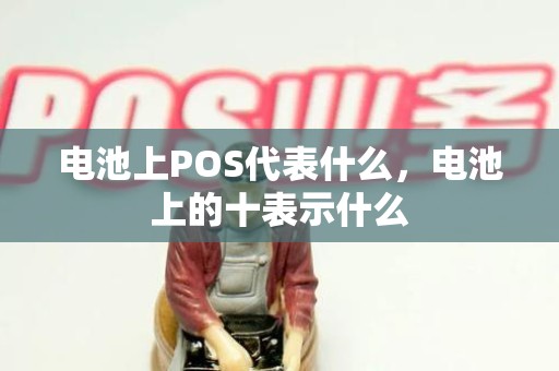 电池上POS代表什么，电池上的十表示什么