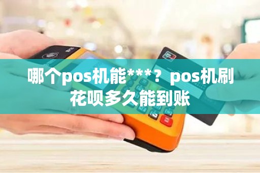 哪个pos机能***？pos机刷花呗多久能到账