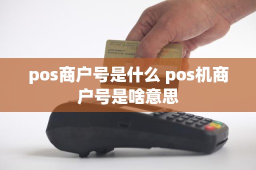 pos商户号是什么 pos机商户号是啥意思