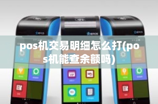 pos机交易明细怎么打(pos机能查余额吗)